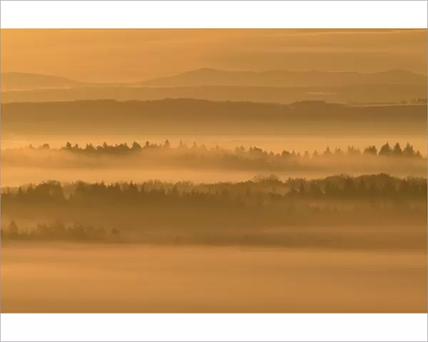 Morning mist over Vosges mountain, France, October