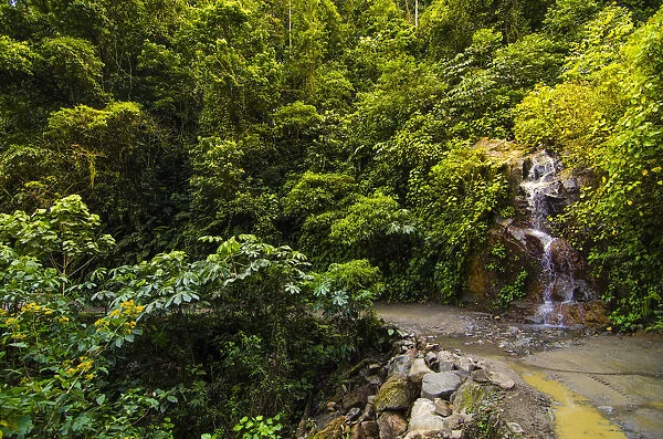 Manu Road with small waterfall, Manu National Park, Madre de Dios Peru. August 2013