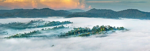 RF - Mist hanging over Lowland Dipterocarp Rainforest just after sunrise. Danum Valley Conservation Area, Sabah, Borneo. (This image may be licensed either as rights managed or royalty free.)