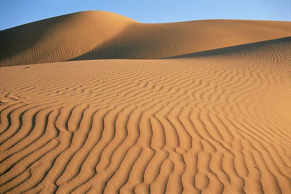 Sand Desert, Barik, Oman