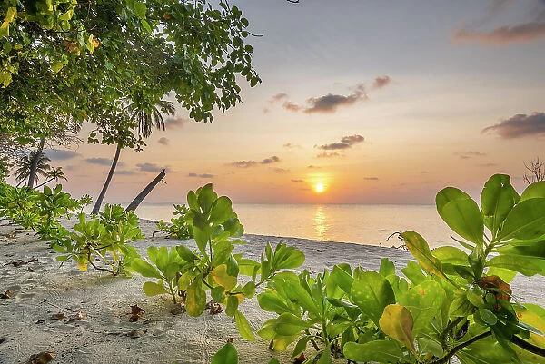 Sunset over the ocean viewed from beach, Dhigurah Island, South Ari Atoll, Maldives, Indian Ocean. February, 2020