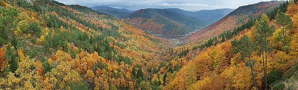Valley with autumnal forest in the Estrela Mountain Range, Portugal, November 2014