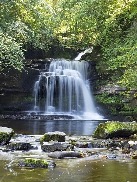 Walden Beck waterfall in woodland, West Burton, Yorkshire Dales National Park, England