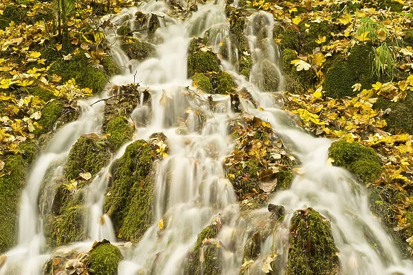 Water running through the woods around Gradinsko Lake, Upper Lakes, Plitvice Lakes National Park, Croatia, October 2008