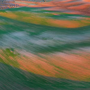 Aerial view of wheat seedlings pushing through strips of bare, cultivated land in spring, turning the landscape green. Toledo, Castilla-La Mancha, Spain