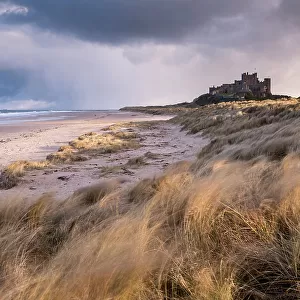 Bamburgh Castle and sand dunes, late evening light, Bamburgh, Northumberland, UK. March 2018