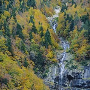 Bujaruelo Valley, Ordesa and Monte Perdido National Park, Pyrenees, Spain