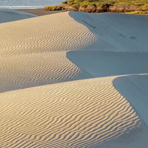 Dunes and estuary, El Datil, El Vizcaino Biosphere Reserve, Baja California, Mexico, February
