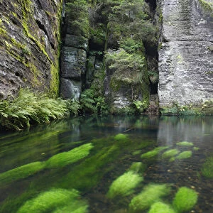 Krinice River flowing past rock faces almost at right angles, Dlouhy Dul, Ceske Svycarsko