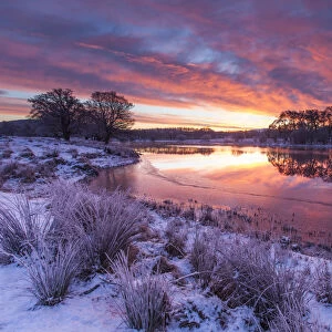 River Spey on winters dawn, Cairngorms National Park, Scotland, UK. January
