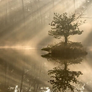 Popular Themes Jigsaw Puzzle Collection: Tranquility