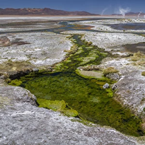 Thermal spring drains into Laguna Salada, in the high altiplano, Bolivia