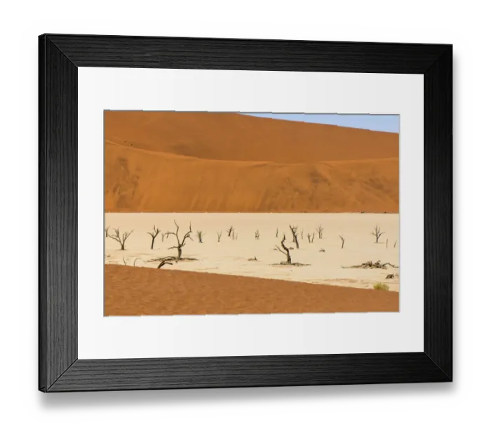 Framed Print : Dead Camelthorn trees (Vachellia erioloba) on sand, Deadvlei, Sossusvlei, Naukluft National Park Framed Print : Dead Camelthorn trees (Vachellia erioloba) on sand, Deadvlei, Sossusvlei, Naukluft National Park