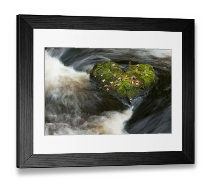 Framed Print : Heart-shaped mossy rock in fast flowing river, Craigengillan Estate, Dalmellington Framed Print : Heart-shaped mossy rock in fast flowing river, Craigengillan Estate, Dalmellington