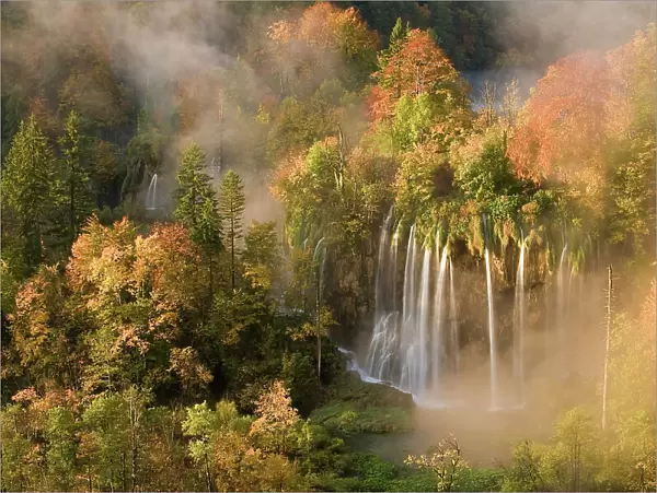 Veliki Prstavci waterfalls close to Gradinsko lake at dawn, Upper Lakes, Plitvice Lakes NP, Croatia, October 2008. WWE BOOK. WWE OUTDOOR EXHIBITION *PRESS IMAGE