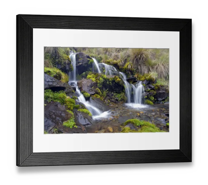 Framed Print : Small waterfall with abundant mosses, High Andes, Bolivia, October 2013 Framed Print : Small waterfall with abundant mosses, High Andes, Bolivia, October 2013