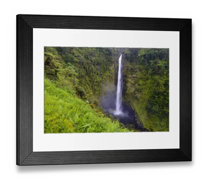 Framed Print : Akaka falls (422 foot) surrounded by vegetation, (much of which is non-native) Akaka Framed Print : Akaka falls (422 foot) surrounded by vegetation, (much of which is non-native) Akaka
