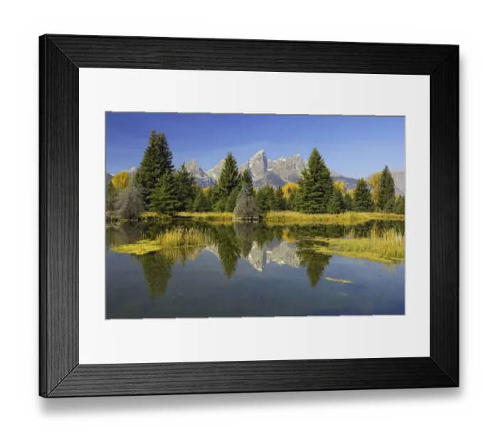 Framed Print : Beaver Pond with mountains and trees reflected in surface, Grand Teton National Park Framed Print : Beaver Pond with mountains and trees reflected in surface, Grand Teton National Park