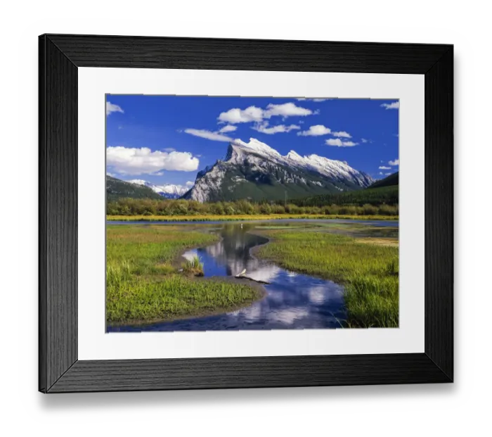 Framed Print : Canadian Rockies reflected in marshland, Banff National Park, Alberta, Canada