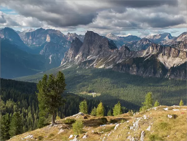 Views over Cristallo and the Dolomite Mountains from Ciadin del Luodo, Belluno Province