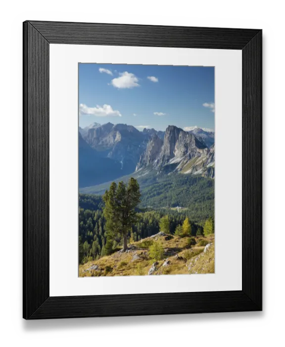 Framed Print : Views over Cristallo and the Dolomite Mountains from Ciadin del Luodo, Belluno Province Framed Print : Views over Cristallo and the Dolomite Mountains from Ciadin del Luodo, Belluno Province