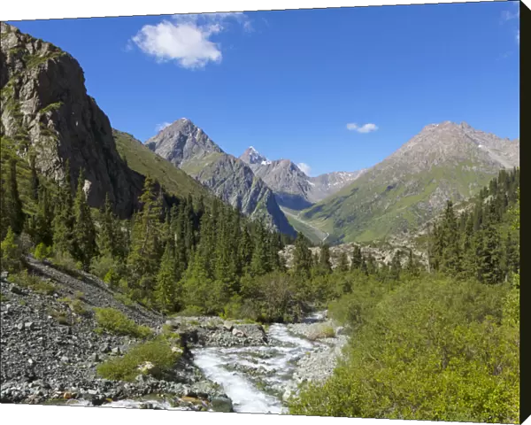Terskey Alatau Mountains, Karakol, Kyrgyzstan. August 2016