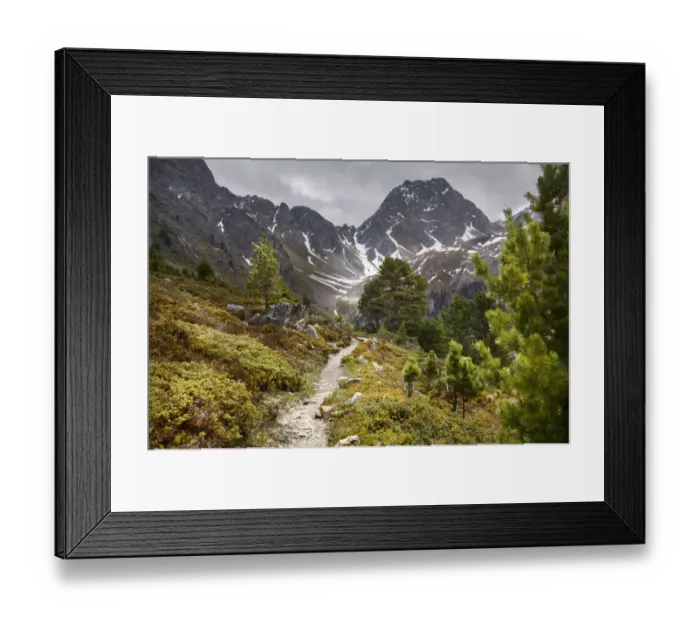 Framed Print : Alpine pine forest path leading to the Feichtener Karlspitze (2916 metres), Austrian Alps