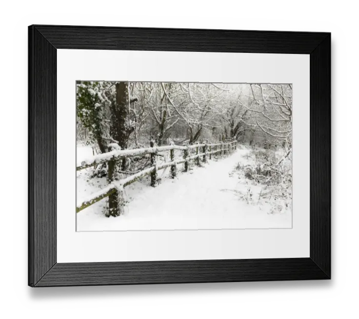 Framed Print : Footpath with fencing alongside woodland, after recent snowfall, Winter, UK, January 2010 Framed Print : Footpath with fencing alongside woodland, after recent snowfall, Winter, UK, January 2010