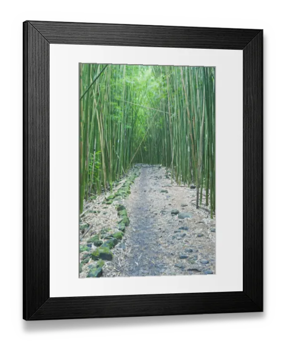 Framed Print : Pipiwai Trail through Bamboo (Poaceae) forest. Maui, Hawaii, February Framed Print : Pipiwai Trail through Bamboo (Poaceae) forest. Maui, Hawaii, February