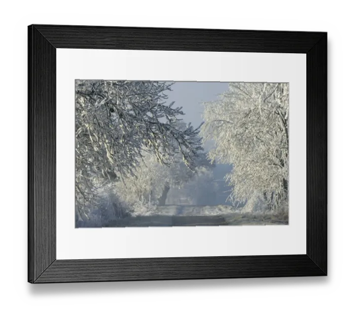 Framed Print : Small path in frosty landscape, Vosges, France, November 2013 Framed Print : Small path in frosty landscape, Vosges, France, November 2013