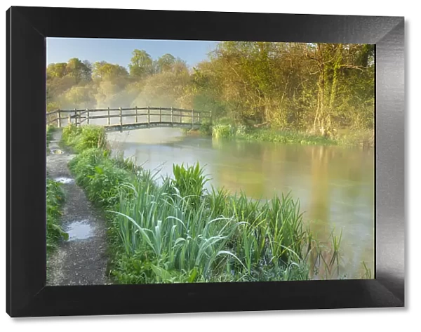 View of the River Itchen at dawn, Ovington, Hampshire, England, UK, May 2012