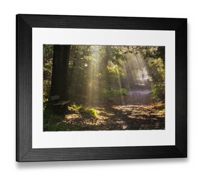 Framed Print : Runner on sunlit path in early morning, cose to the Vale of Health Hampstead Heath Framed Print : Runner on sunlit path in early morning, cose to the Vale of Health Hampstead Heath