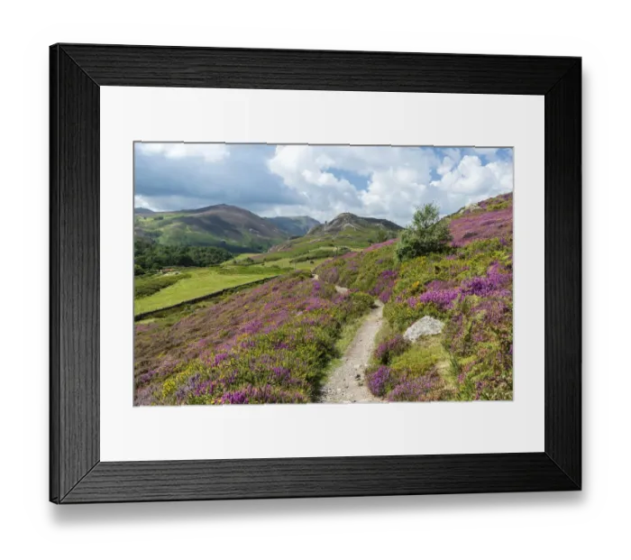 Framed Print : View west from path on Conwy Mountain with Alltwen Mountain on the right and Foel Framed Print : View west from path on Conwy Mountain with Alltwen Mountain on the right and Foel