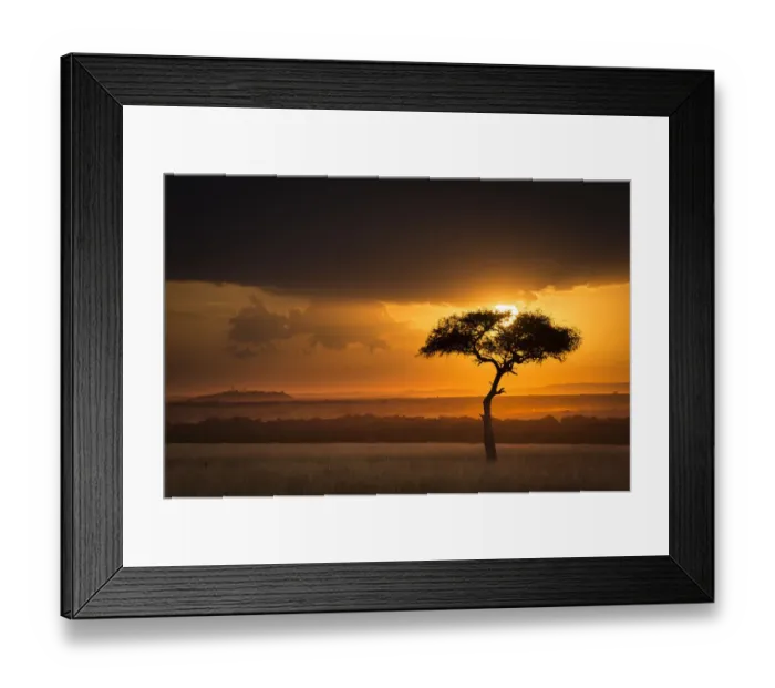Framed Print : Sunset over savanna landscape image with a lone (Acacia) tree, Masai Mara NR, Kenya Framed Print : Sunset over savanna landscape image with a lone (Acacia) tree, Masai Mara NR, Kenya
