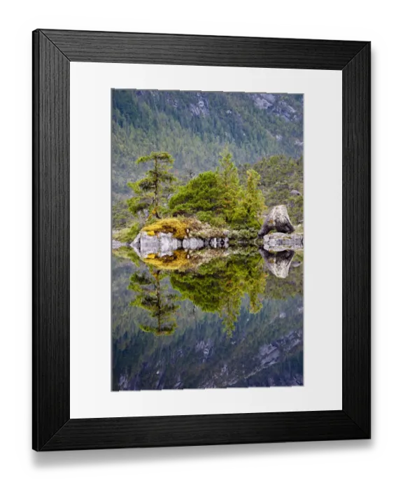 Framed Print : Lake surrounded by temperate rainforest, Campania Island, Great Bear Rainforest, British Columbia Framed Print : Lake surrounded by temperate rainforest, Campania Island, Great Bear Rainforest, British Columbia