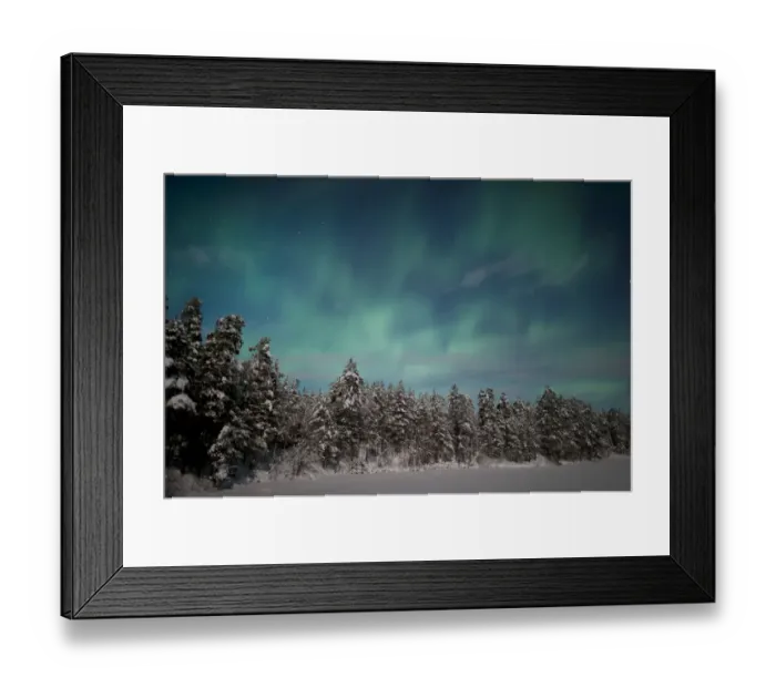 Framed Print : Aurora Borealis over snowy pine forest, Finland. February 2011 Framed Print : Aurora Borealis over snowy pine forest, Finland. February 2011