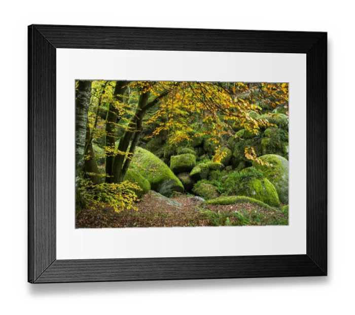 Framed Print : The Chaos of Rocks in autumn, Huelgoat forest, Finistere, Brittany, France, October 2007 Framed Print : The Chaos of Rocks in autumn, Huelgoat forest, Finistere, Brittany, France, October 2007