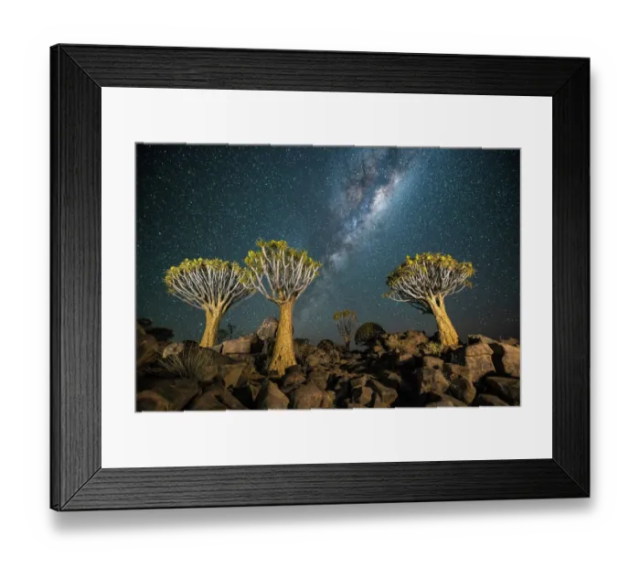 Framed Print : Quiver tree forest (Aloe dichotoma) at night with stars and the Milky Way, Keetmanshoop, Namibia Framed Print : Quiver tree forest (Aloe dichotoma) at night with stars and the Milky Way, Keetmanshoop, Namibia