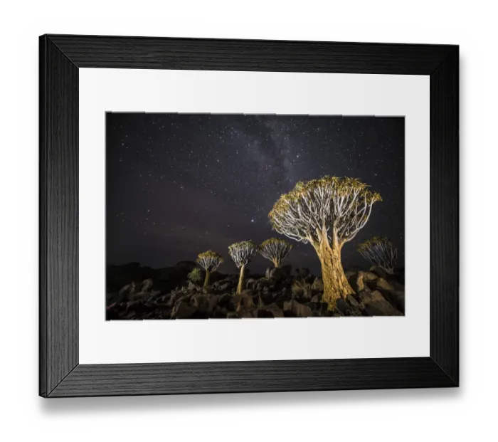 Framed Print : Quiver trees (Aloe dichotoma) with the Milky Way at night, Keetmanshoop, Namibia Framed Print : Quiver trees (Aloe dichotoma) with the Milky Way at night, Keetmanshoop, Namibia