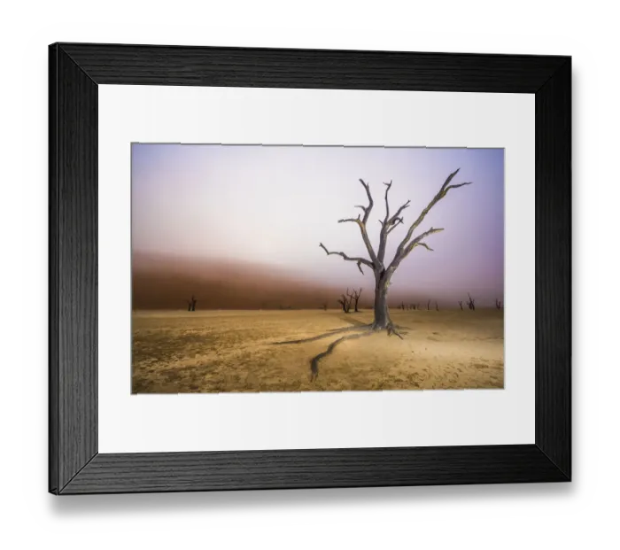Framed Print : Ancient dead Camelthorn tree (Vachellia erioloba) trees with red dunes and mist, Namib desert