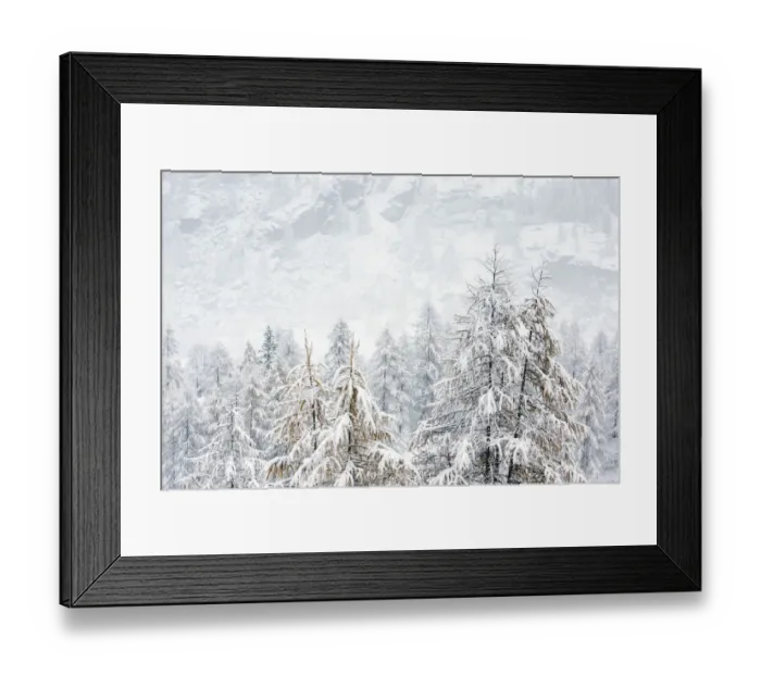 Framed Print : Forest on mountain sides covered in snow on a misty day. Gran Paradiso National Park Framed Print : Forest on mountain sides covered in snow on a misty day. Gran Paradiso National Park