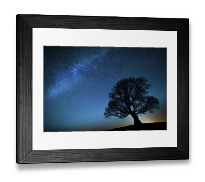 Framed Print : Oak tree (Quercus robur) silhouetted against night sky with stars, Brecon Beacons National Park Framed Print : Oak tree (Quercus robur) silhouetted against night sky with stars, Brecon Beacons National Park