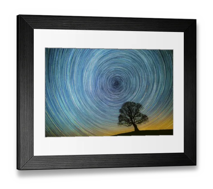 Framed Print : English oak tree (Quercus robur) at night silhouetted against circle of star trails Framed Print : English oak tree (Quercus robur) at night silhouetted against circle of star trails