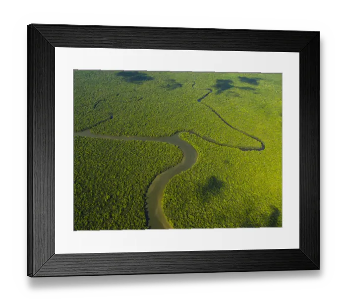 Framed Print : Aerial view of the River Kinabatangan and riverine tropical rainforest, Sabah, Malaysia Framed Print : Aerial view of the River Kinabatangan and riverine tropical rainforest, Sabah, Malaysia