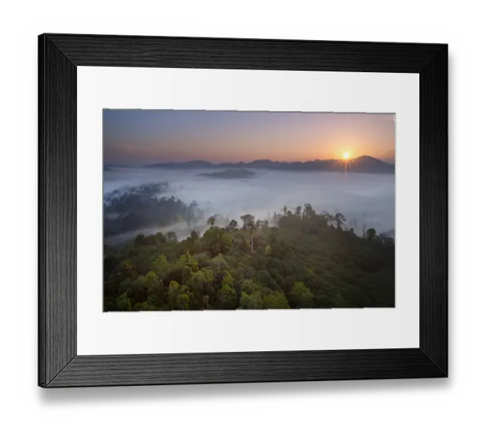 Framed Print : View over lowland dipterocarp rainforest at dawn. Danum Valley, Sabah, Borneo, May 2011