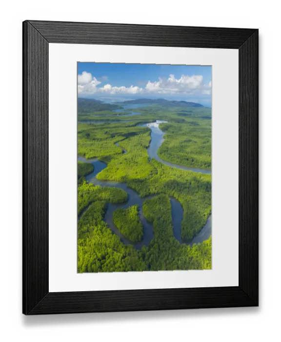 Framed Print : Aerial view of Delta Sierpe River Terraba, Corcovado National Park, Osa Peninsula Framed Print : Aerial view of Delta Sierpe River Terraba, Corcovado National Park, Osa Peninsula