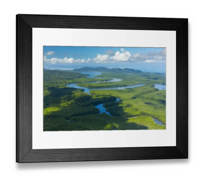 Framed Print : Aerial view of Delta Sierpe River Terraba, Corcovado National Park, Osa Peninsula Framed Print : Aerial view of Delta Sierpe River Terraba, Corcovado National Park, Osa Peninsula