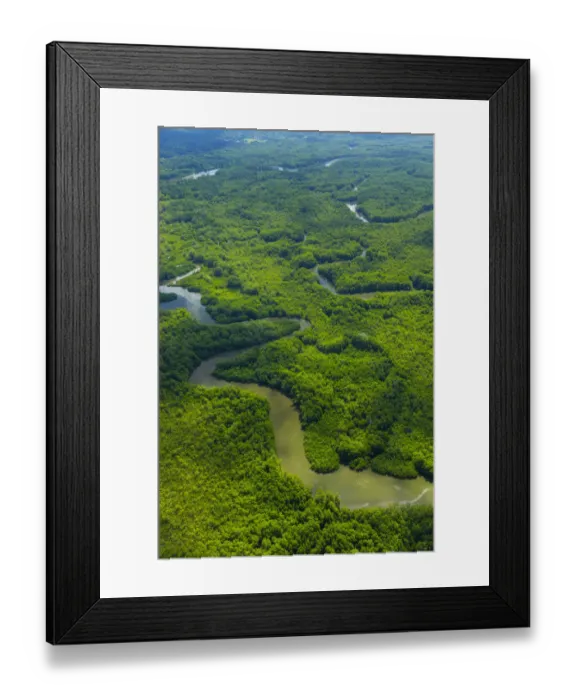 Framed Print : Aerial view of Delta Sierpe River Terraba, Corcovado National Park, Osa Peninsula Framed Print : Aerial view of Delta Sierpe River Terraba, Corcovado National Park, Osa Peninsula