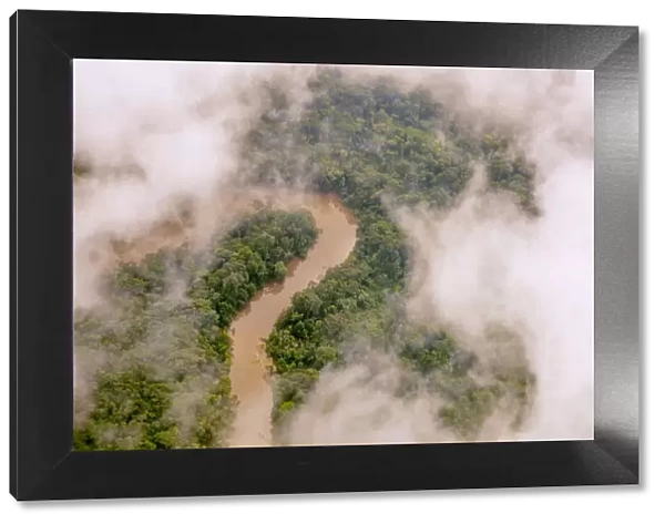 Aerial view of Amazon Rainforest, and the Manati River, Peru, July 2015