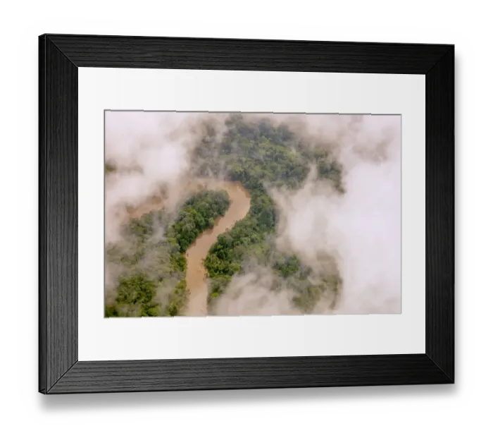 Framed Print : Aerial view of Amazon Rainforest, and the Manati River, Peru, July 2015 Framed Print : Aerial view of Amazon Rainforest, and the Manati River, Peru, July 2015